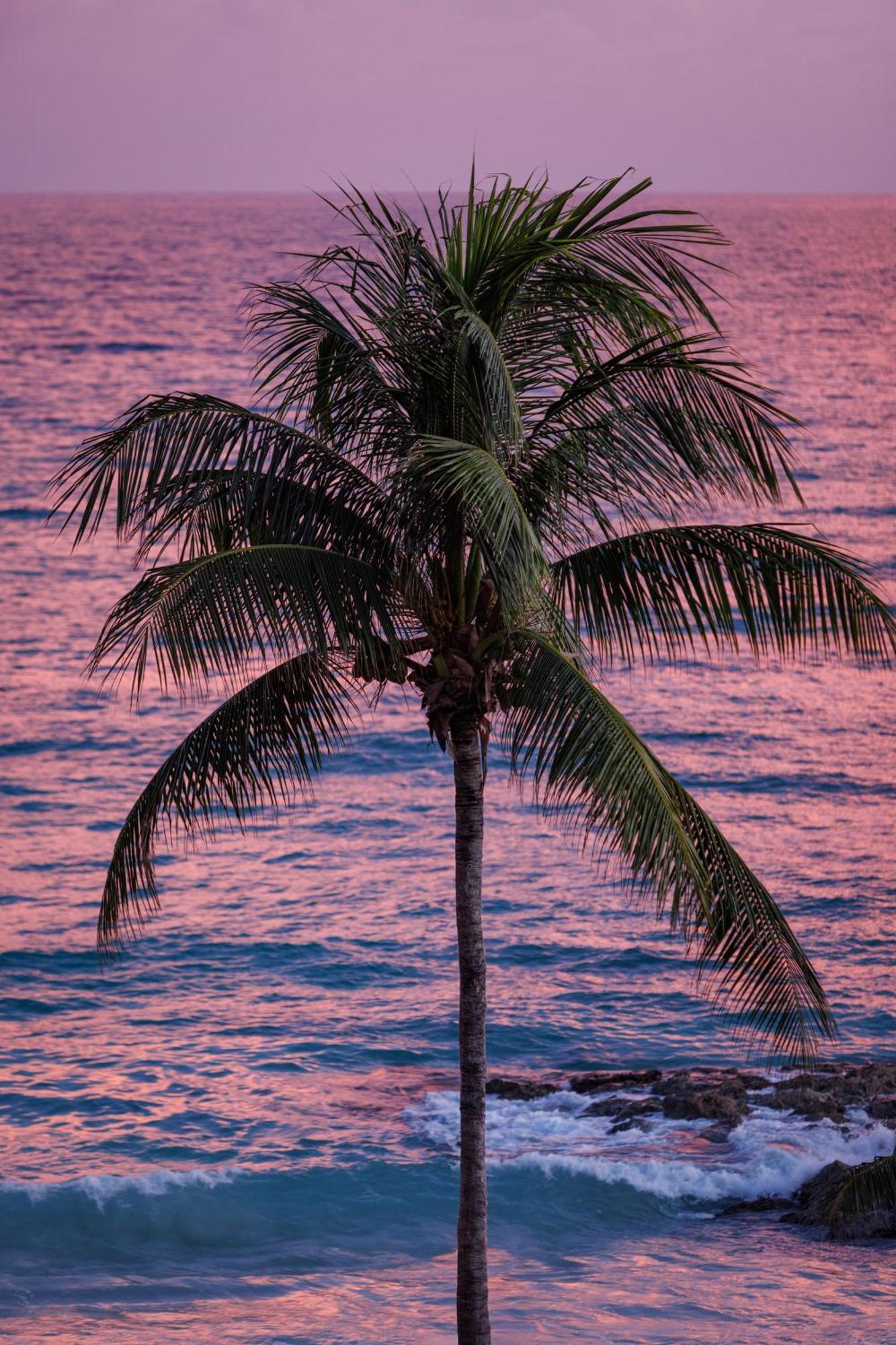 Sandals Barbados All Inclusive - Couples Only (Adults Only) Крайст Чърч Екстериор снимка